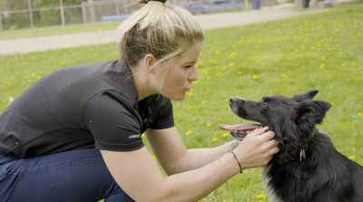 How Brianna Decker’s Dog Has Helped in Her Injury Recovery