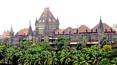 'Glossy' Instagram posts, biography not sufficient to prove 'handsome' income: Bombay high court