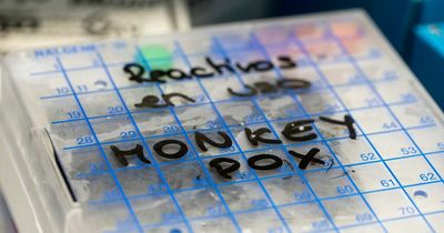 The people who could be offered monkeypox vaccine in new rollout