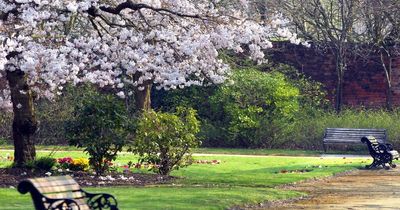 Woman flashed near park as police hunt man who made sexual comments to her