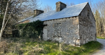 Derelict homes for sale in Ireland right now costing €30,000 or less