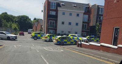 Police issue update after road closed by swarm of patrol cars