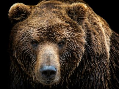 Bitcoin Hits $21300 — Is The Bear Market Over?