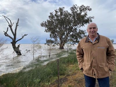 Scientists call for end to dam projects