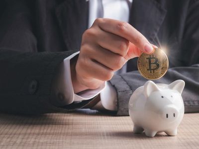 Crypto Gloom: New Investors Using Dips for Gains