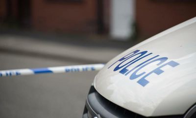 Man held after woman and son fatally stabbed in London