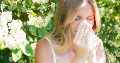 Hay fever symptoms made worse by some of the country's favourite food and drink treats