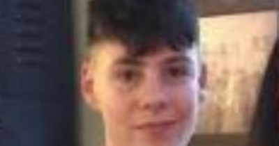 Gardai appeal for help in tracing Dublin teen
