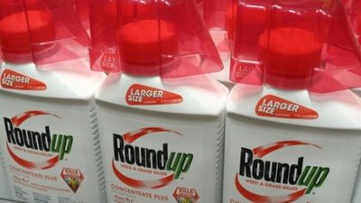 US Supreme Court rejects Bayer's appeal to stop Roundup weedkiller lawsuits