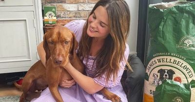Binky Felstead 'sick to her stomach' as her dog is victim of 'vile' hit-and-run by driver