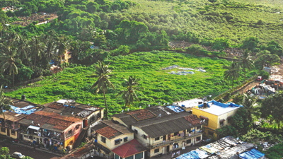 Mumbai: Plan to reclaim mangrove belt lost to debris dumping