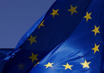 After fractious debate, EU Parliament votes to back "biggest ever" carbon market overhaul
