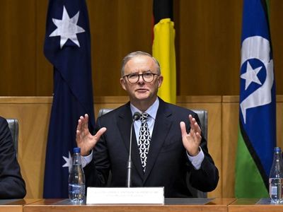 Albanese surprised by Bandt's flag stance