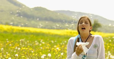 Hay fever symptoms you should not ignore as UK hits peak levels