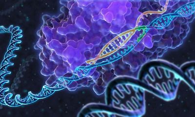 Half in UK back genome editing to prevent severe diseases