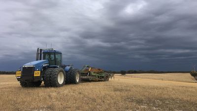 Inquiry launched into spate of agriculture-related deaths in Western Australia