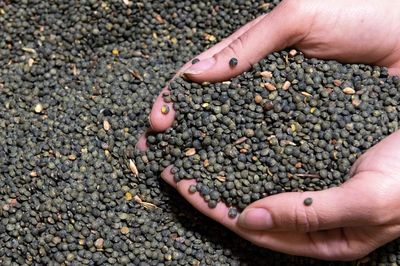 Daily Harvest recalls a lentil dish after customers report food poisoning online