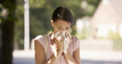 Managing hay fever symptoms as pollen bomb hits Dublin