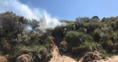 East Lothian beauty spot goes up in smoke as fire crews rush to put out BBQ fire