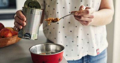 'I eat dog food for breakfast, dinner and tea because I can't afford real food'