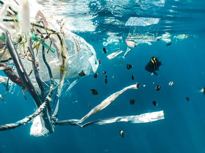 Canada to ban single-use plastics by the end of the year in ‘historic’ move