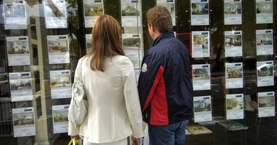 UK housing market is 'house of cards', says property expert