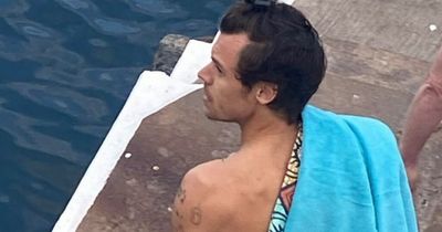 Harry Styles spotted at Dublin's Vico Baths for evening swim with partner Olivia Wilde