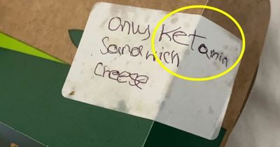 Hungover student picks apart McDonald's burger to find 'only ketamine' on label