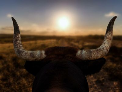 Bitcoin (BTC) Bull Trap Breaks At $20,000: Miners' Sell-Pressure Increases