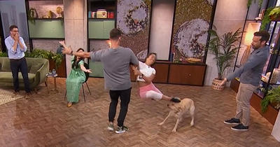 BBC Morning Live's Gethin Jones provides update after Strictly star kicks dog in the face