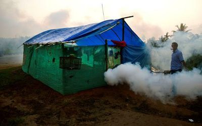 India reports 86% fall in cases since 2015, 79% reduction in deaths due to Malaria