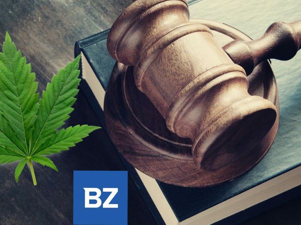Cannabis Reg. Update: Gun Rights & Marijuana In Florida, UK Police Chief Supports Cannabis Decriminalization & More