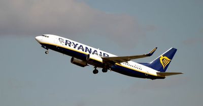 Ryanair flight with Brits came 'within seconds' of mid-air collision with private jet