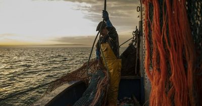 Brexit effect will lower wages by nearly £500 for a decade and devastate Scottish fishing industry