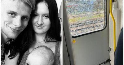 Parent's horror as baby covered in glass after brick launched at train window