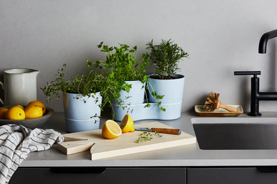 Quick kitchen cleaning tips