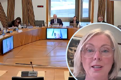 Senior Irish senator tells Holyrood GRA will not put women at risk