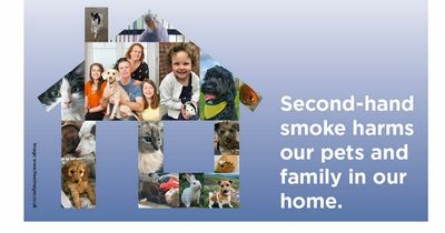 NHS Lanarkshire teams up with vets to protect cuddly companions from second-hand smoke