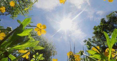 Edinburgh weather: Met Office issue pollen bomb warning as temperatures reach 22C