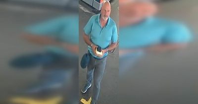 Man hunted by police after woman sexually assaulted on train