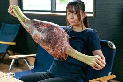 The ‘Monster Hunter’ Kongari Meat pillow will be the prime cut of your home