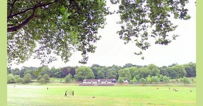 Man stabbed in chest at Nottingham Forest Recreation Ground
