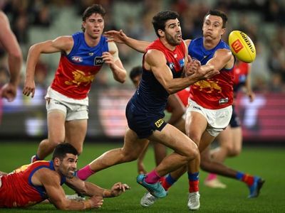 Dominant Dees climb back to AFL summit