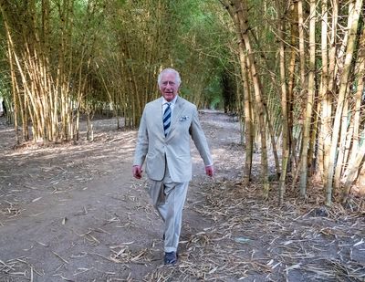 UK's Boris Johnson to meet Prince Charles in Rwanda amid asylum seekers' deportation row