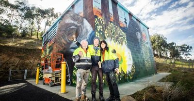 Another roadside masterpiece by Canberra's famous mural family