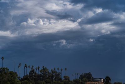 Lightning strike kills woman, 2 dogs in Southern California