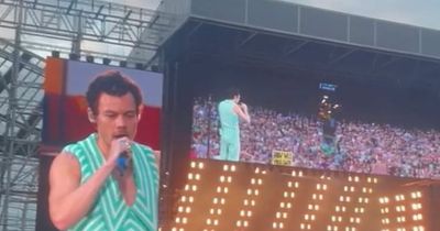 Watch: Harry Styles gets crowd to sing 'Happy Birthday' to delighted Dublin fan