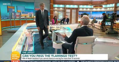 Flamingo balance test suggests you'll die in next 7 years if you fail
