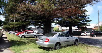 Hunter council's bid to allow parking on footpaths, nature strips