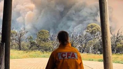 CFA apologises to members after report finds culture of discrimination and bullying